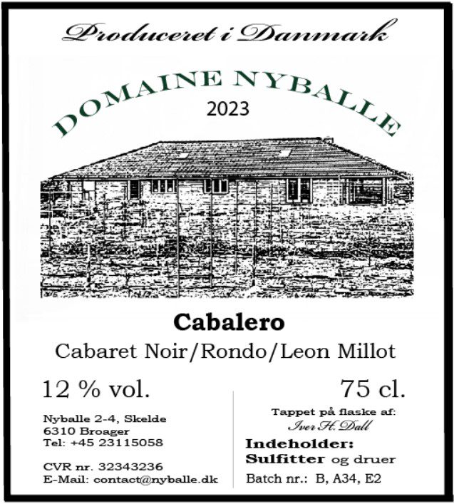 1 x Rogento 2023 + 1 x Cabalero 2023 – Domaine Nyballe